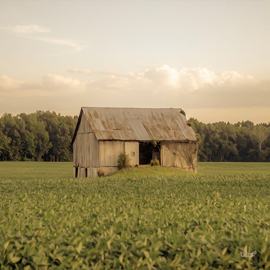 Donnie Quillen DQ222 - DQ222 - Rural Barn - 12x12 Photography, Barn, Farm, Rural, Country, Fields, Landscape from Penny Lane