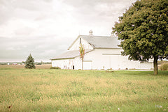 DQ266 - Barn in the Country I - 18x12