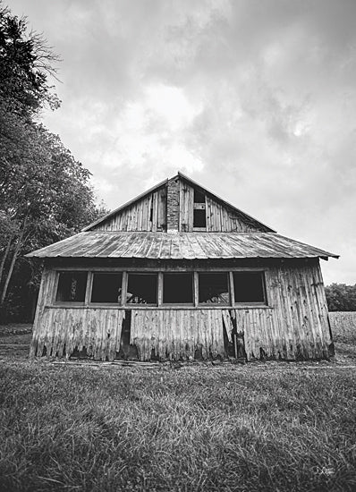 Donnie Quillen DQ270 - DQ270 - Seen Better Days - 12x18 Barn, Farm, Abandoned Barn, Photography, Black & White from Penny Lane