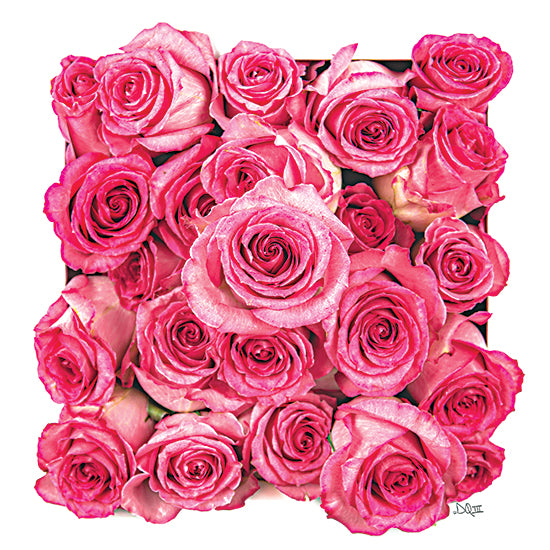 Donnie Quillen DQ280 - DQ280 - Roses a Plenty - 12x12 Roses, Pink Roses, Photography, Summer from Penny Lane