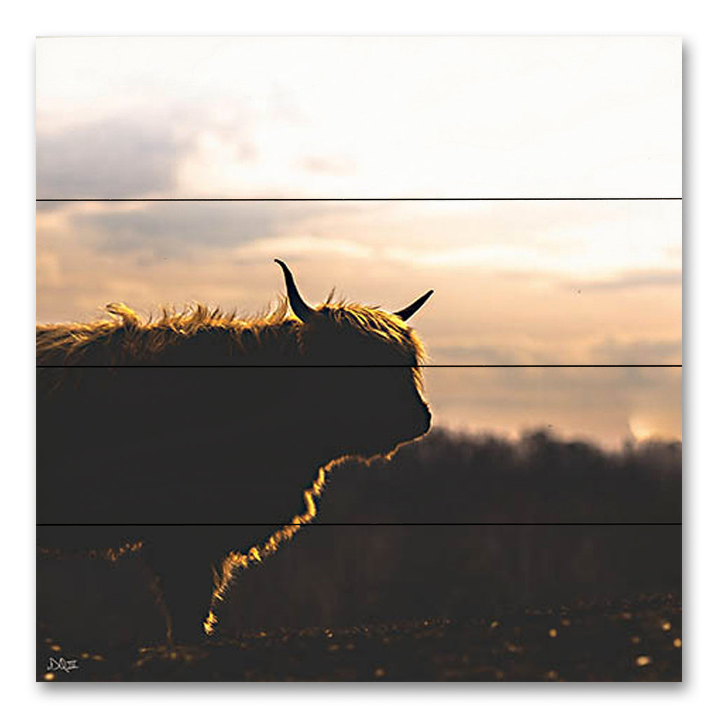 Donnie Quillen DQ295PAL - DQ295PAL - Sunset Watch - 12x12 Photography, Cow, Highland Cow, Sunset, Nature from Penny Lane