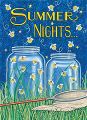 DS1676 - Summer Nights - 0