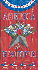 DS1900 - America the Beautiful - 0