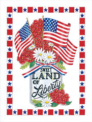 DS1918 - Land of Liberty Mason Jar - 12x16