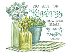 DS2250 - No Act of Kindness - 16x12