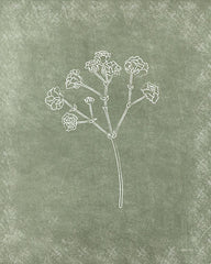 DUST1084 - Floral I - 12x16