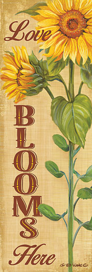 Ed Wargo ED398A - ED398A - Love Blooms Here - 12x36 Love Blooms Here, Sunflowers, Flowers, Autumn, Signs from Penny Lane