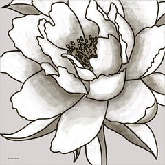 ET134 - Macro Peony Sketch I - 12x12