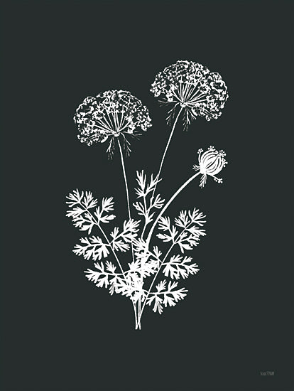 House Fenway FEN1057 - FEN1057 - Wildflower Sunprint II - 12x16 Wildflowers, Leaves, Black & White, Silhouette from Penny Lane