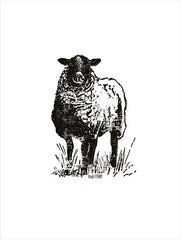 FEN119 - Farmhouse Sheep - 12x16