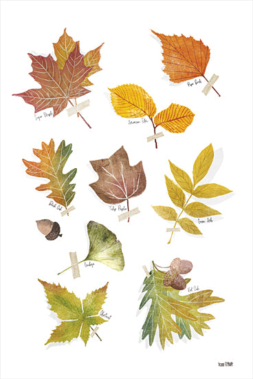 House Fenway FEN193 - FEN193 - Autumn Leaves - 12x18 Leaves, Autumn, Science from Penny Lane
