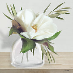 FEN282 - Vintage Magnolia Bloom - 12x12