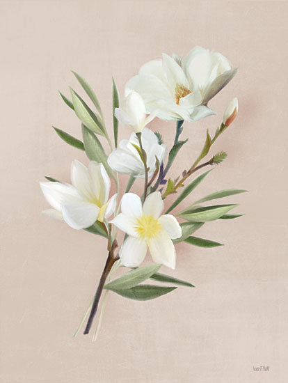House Fenway FEN283 - FEN283 - Spring Magnolias - 12x16 Magnolias, Spring Flower, Flowers from Penny Lane
