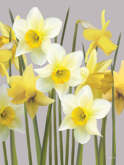 House Fenway FEN323 - FEN323 - Spring Daffodils - 12x16 Flowers, Blooms, Spring, Daffodils, Botanical from Penny Lane