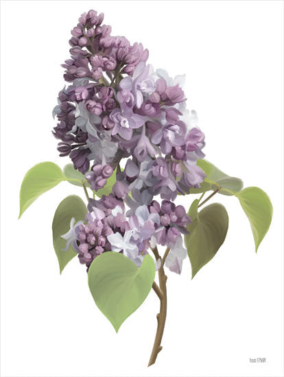 House Fenway FEN324 - FEN324 - Lilac Stem - 12x16 Flowers, Lilac, Purple Flowers, Spring, Botanical from Penny Lane