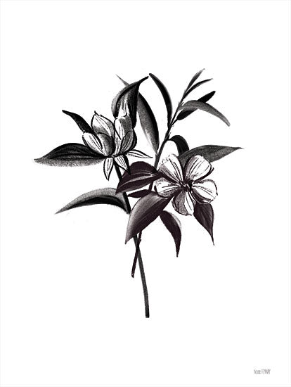House Fenway FEN456 - FEN456 - Inked Blossoms I - 12x16 Flowers, Black & White, Inked Blossoms, Stems, Leaves from Penny Lane
