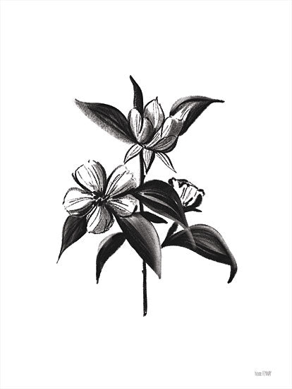 House Fenway FEN457 - FEN457 - Inked Blossoms II - 12x16 Flowers, Black & White, Inked Blossoms, Stems, Leaves from Penny Lane