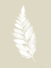 FEN489 - Botanical White Fern    - 12x16