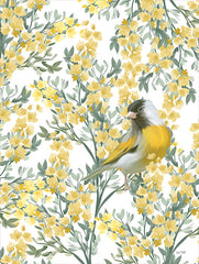 FEN656 - Yellow Spring Finch - 12x16