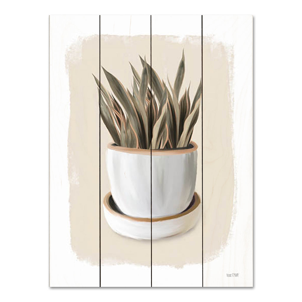 House Fenway FEN692PAL - FEN692PAL - House Plant I - 12x16 House Plant, Green Plant, Clay Pot, Triptych from Penny Lane