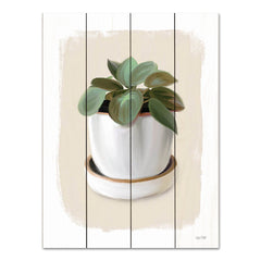 FEN693PAL - House Plant II - 12x16