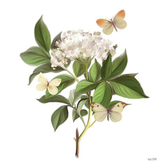 FEN749 - Wildflowers and Butterflies II - 12x12