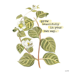 FEN752 - Grow Beautifully - 12x12