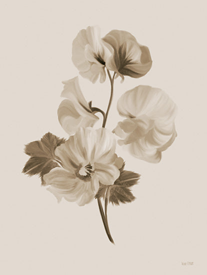 House Fenway FEN760 - FEN760 - Sepia Botanical II     - 12x16 Flower, Botanical, Sepia, One Color, Blooms from Penny Lane