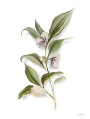 FEN834LIC - White Blossom Botanical - 0