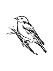 FEN849LIC - Songbird Sketch II - 0