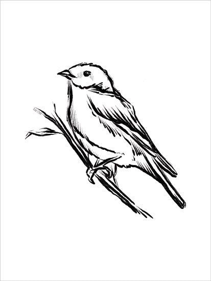 House Fenway FEN849 - FEN849 - Songbird Sketch II - 12x16 Bird, Sketch, Drawing Print, Black & White, Nature from Penny Lane