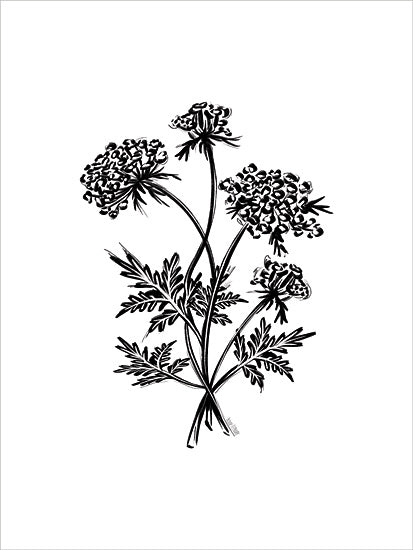 House Fenway FEN851 - FEN851 - Wildflower Sketch II - 12x16 Wildflowers, Sketch, Drawing Print, Black & White from Penny Lane