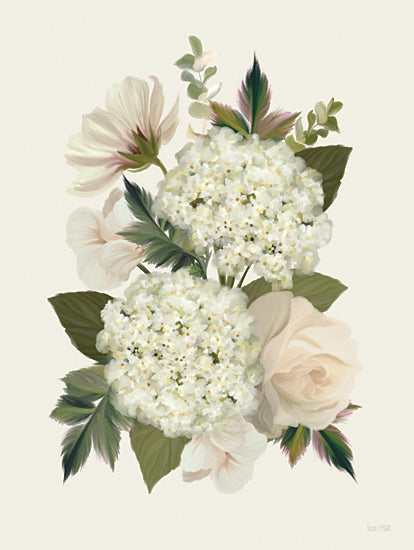 House Fenway FEN861 - FEN861 - Heirloom Hydrangea - 12x16 Flowers, Hydrangeas, Heirloom Hydrangeas, Bouquet, Spring, White Hydrangeas from Penny Lane