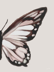FEN895 - Butterfly Wings II - 12x16