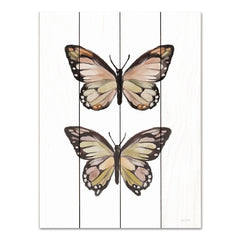 FEN896PAL - Summer Butterflies - 12x16