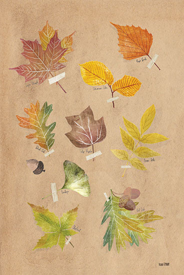 House Fenway FEN935 - FEN935 - Autumn Leaves    - 12x18 Fall, Leaves, Chart, Types of Leaves, Typography, Signs, Nature from Penny Lane