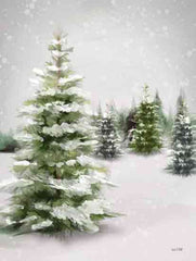 FEN986 - Snowy Wintergreen - 12x16