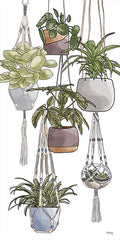HK140 - Indoor Hanging Plants   - 9x18