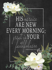 HK156 - His Mercies Are New Every Morning - 12x16