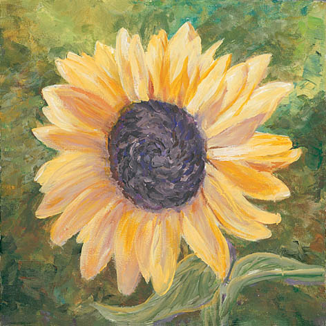 Georgia Janisse JAN235 - Sunflower - Sunflower, Flowers from Penny Lane Publishing