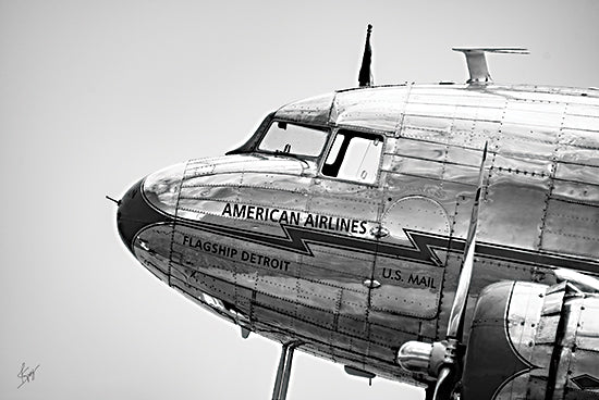 Justin Spivey JDS222 - JDS222 - Old Bird - 18x12 Photography, Airplane, Vintage Airplane, American Airlines US Mail, Typography, Signs, Textual Art, Masculine from Penny Lane