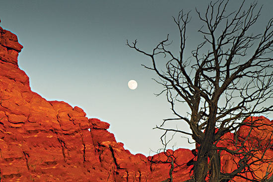 JG Studios JGS463 - JGS463 - Moon Phase - 18x12 Moon Phase, Rock Formation, Trees, Photography, Moon, Celestial from Penny Lane