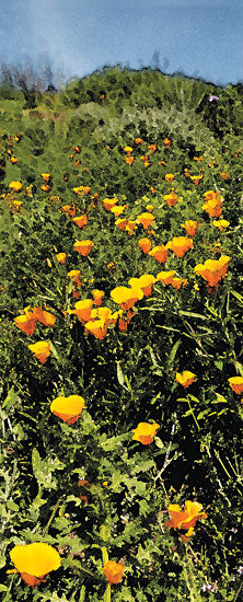 JG Studios JGS479 - JGS479 - Poppy Field - 8x20 Flowers, Poppies, Yellow Poppies, Photography from Penny Lane