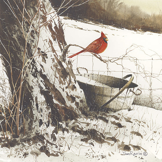 John Rossini JR138 - Country Cardinal - Snow, Winter, Cardinal, Bucket, Tree from Penny Lane Publishing
