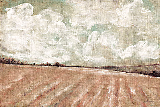 Kamdon Kreations KAM385 - KAM385 - Waves of Grain - 18x12 Abstract, Field, Grains, Farming, Landscape, Clouds from Penny Lane