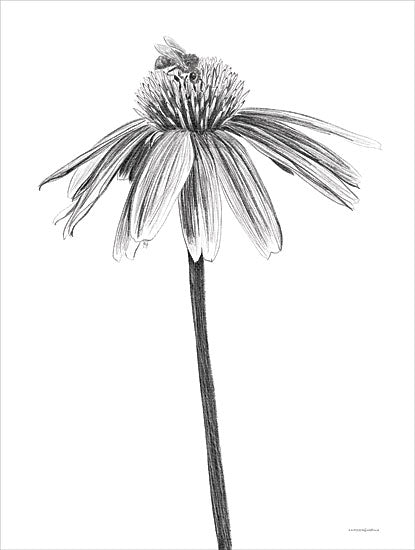 Kamdon Kreations KAM811 - KAM811 - Beeyard - 12x16 Flower, Bee, Drawing Print, Black & White, Sketch from Penny Lane
