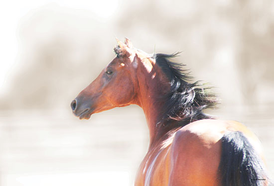 Kari Brooks KARI147 - KARI147 - Berry Badass - 18x12 Horse, Backside of a Horse, Portrait from Penny Lane