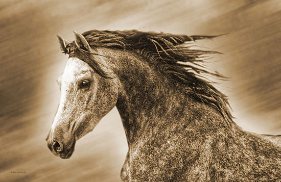 Kari Brooks KARI148 - KARI148 - Addie Gray - 18x12 Horse, Portrait, Selfie from Penny Lane