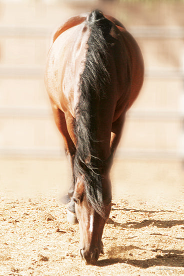 Kari Brooks KARI156 - KARI156 - Parallel Lines - 12x18 Photography, Horse, Brown Horse, Portrait from Penny Lane