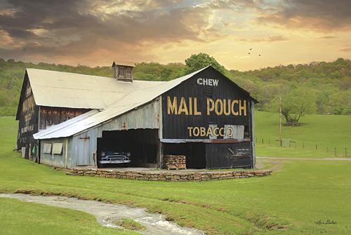 Lori Deiter LD1015 - Mail Pouch Barn - Barn, Tobacco, Landscape from Penny Lane Publishing